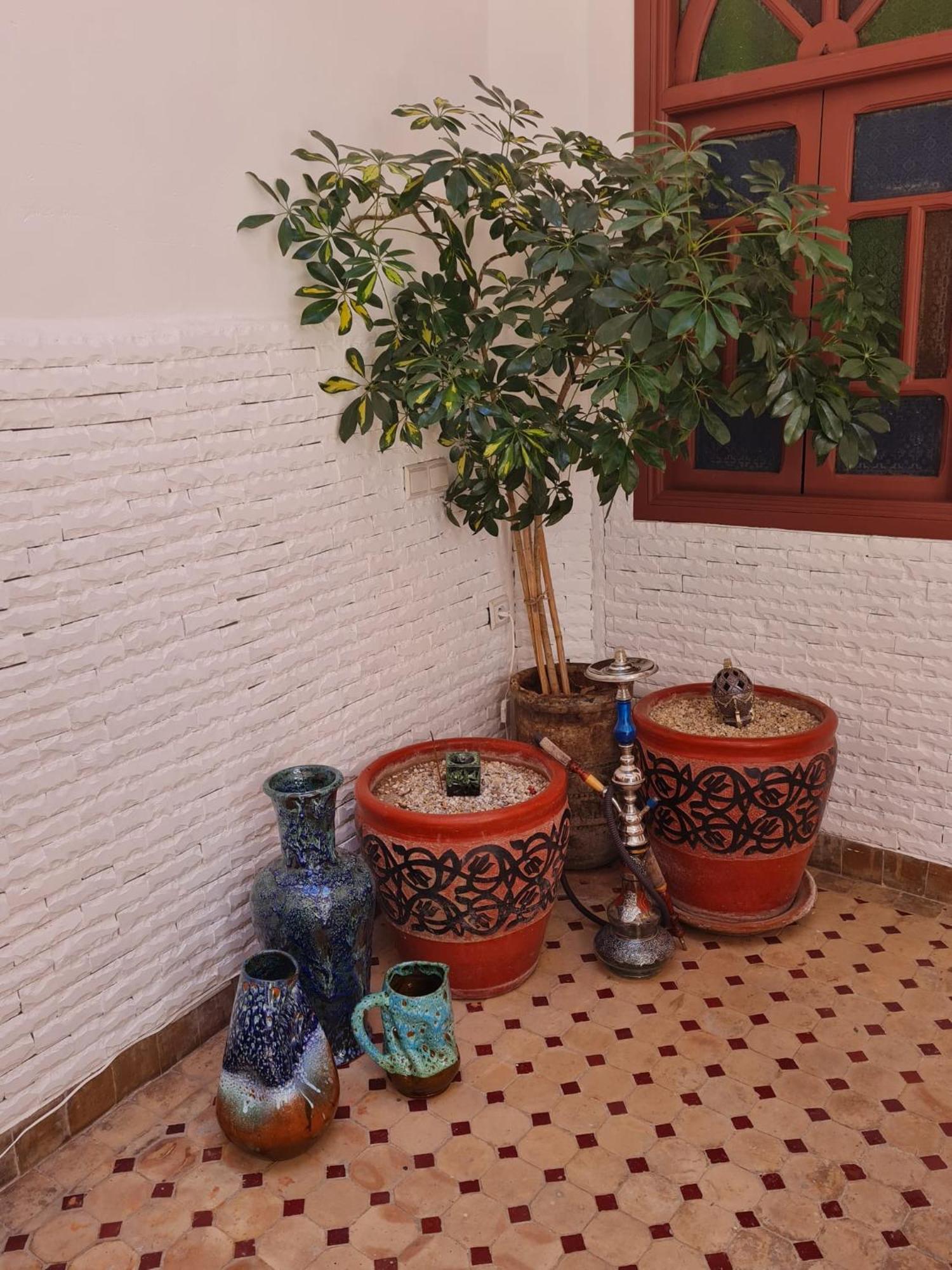 Riad Dantella Marrakesh Exteriör bild